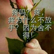 专业找茬