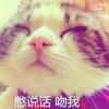 么么哒茗茗