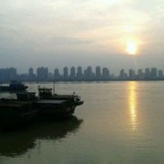 微信_4454129