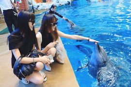 8秒充值代理．・゜♡主播照片