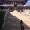 三--叶
