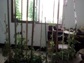 我好爱你你好满意主播照片