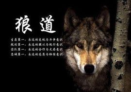 心⑥随②你⑨远⑨行主播照片