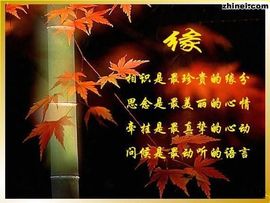 心⑥随②你⑨远⑨行主播照片