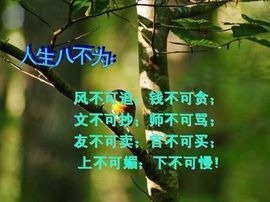 9527豪情主播照片