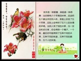 9527豪情主播照片