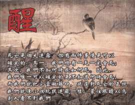 9527豪情主播照片