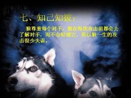 9527豪情主播照片