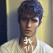 伯万桦