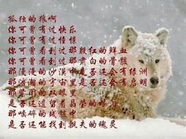 9527豪★情主播照片