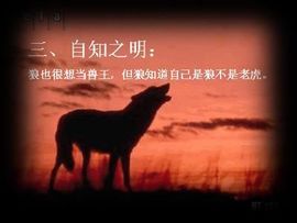 9527豪★情主播照片