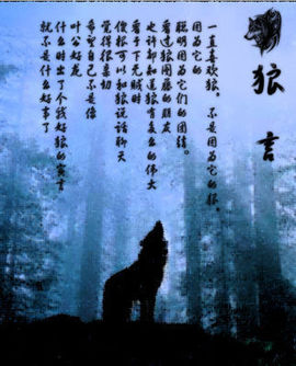 9527豪★情主播照片