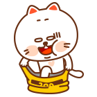 Ted(泰迪熊)主播照片