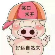 驴二笨海报