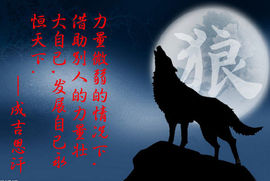 ☯快乐★之鹰☯主播照片