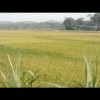 滚滚红尘，0