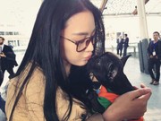 毛🐱虫虫海报