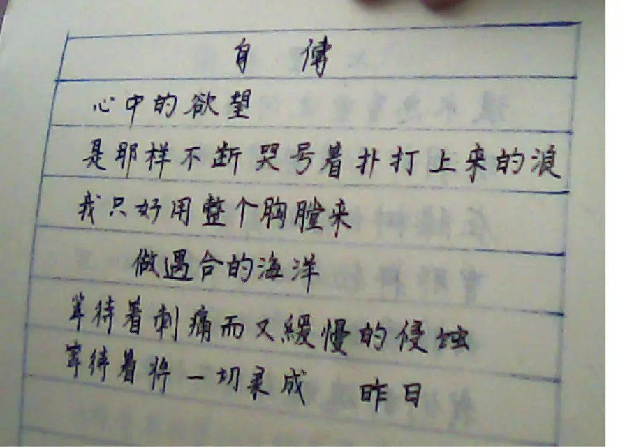 又帅0又呆的主播照片