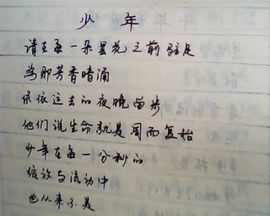 又帅0又呆主播照片