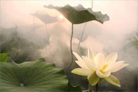 冰爷守护辰宝主播照片