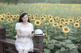 茶筝雅韵7主播照片