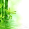 草根zg