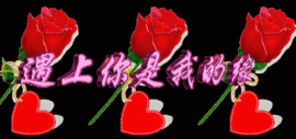 ❤弄丢了自己❤主播照片