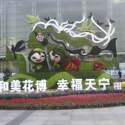 微信_8093395海报