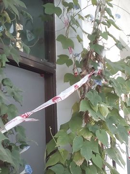 我好爱你你好满意主播照片