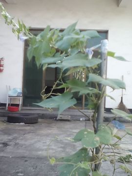 我好爱你你好满意主播照片