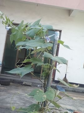 我好爱你你好满意主播照片