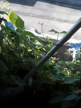我好爱你你好满意主播照片