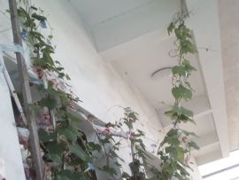 我好爱你你好满意主播照片