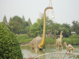 快乐。感觉真好主播照片