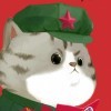 哇咔咔s