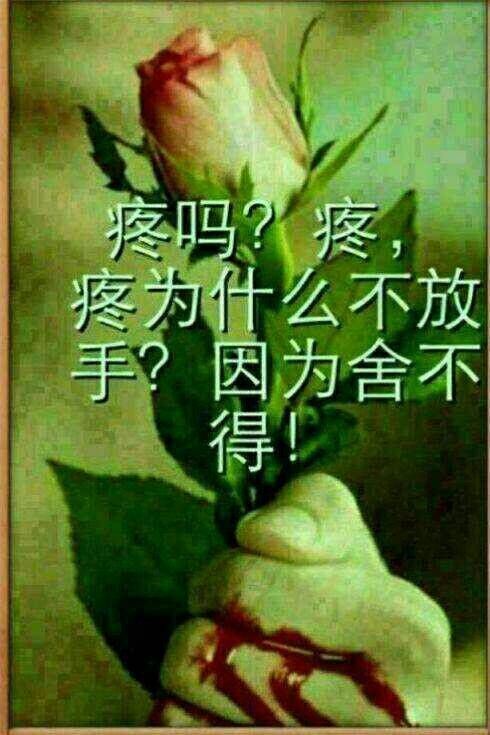 蚀骨💕冷美人的图片