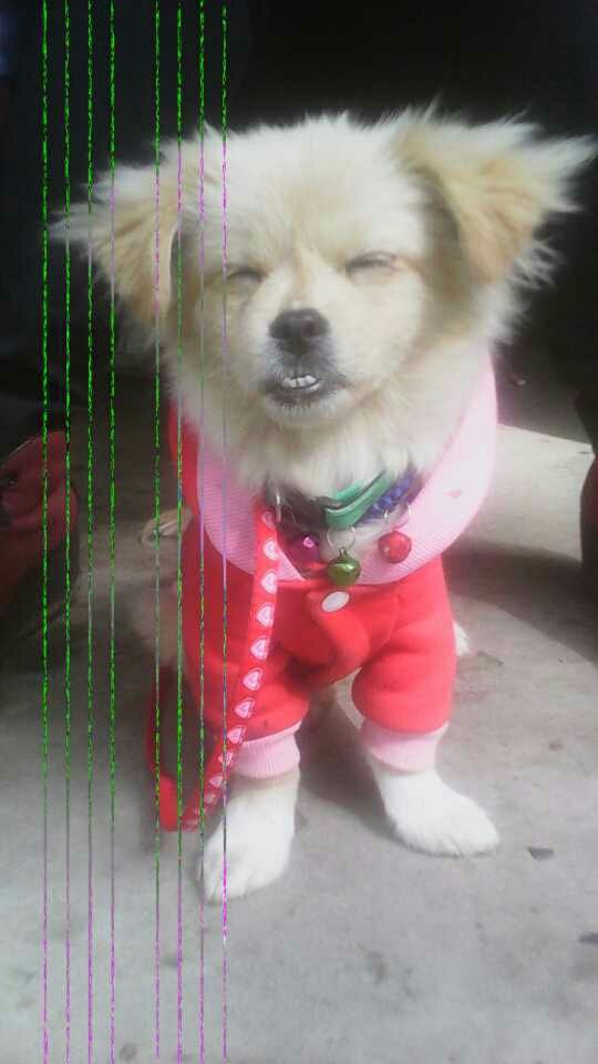 ☕心如止水🎀的主播照片