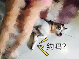 小芯😊主播照片