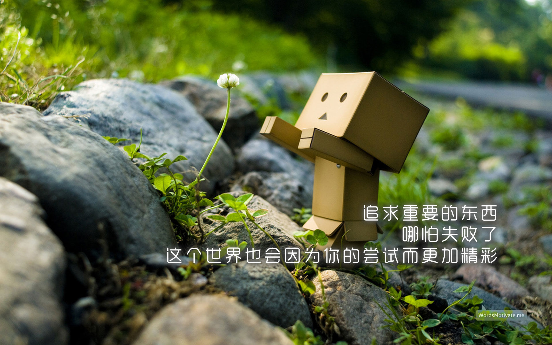 您你你你的主播照片