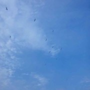 微信_0601371