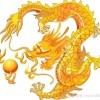 龍u7