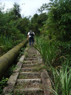 阳光山水主播照片