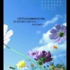 芜言白勺等候