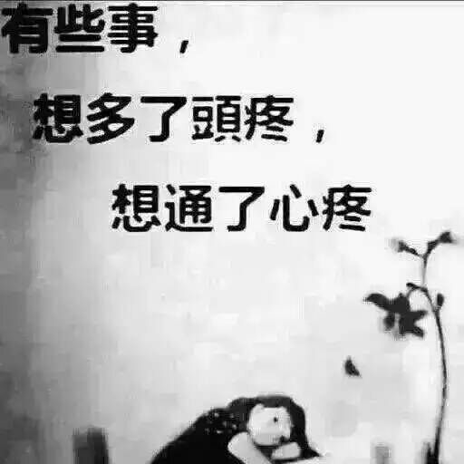迷惘的菲兒的主播照片