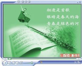 杯中水——心醉主播照片