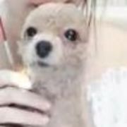 CL宁吉吉
