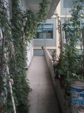 我好爱你你好满意主播照片