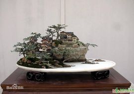 云懂你主播照片