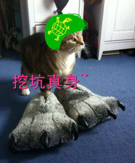 ❤小太阳主播照片
