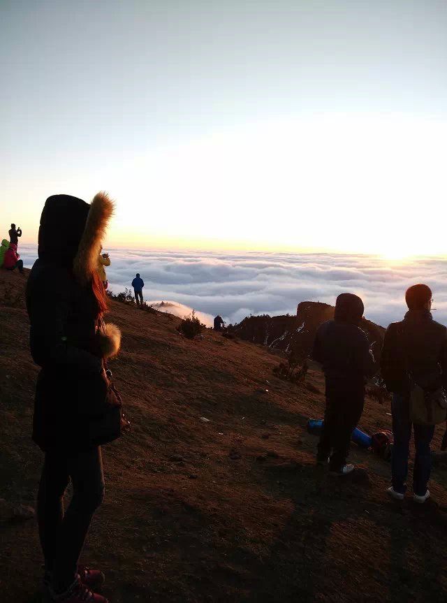 凭什么说说说主播照片